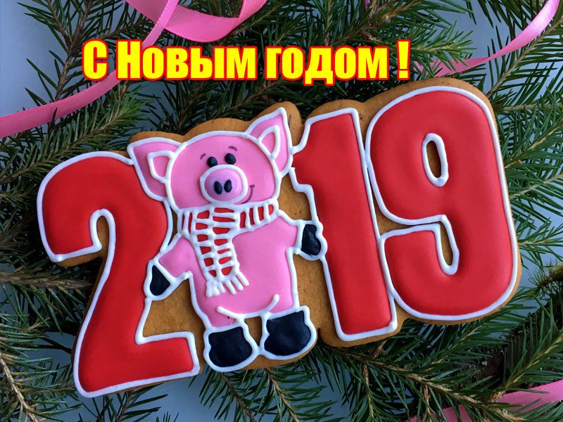 с новым годом 2019